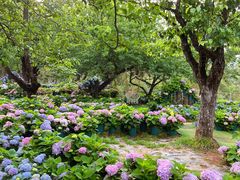 -名花谷生态庄园