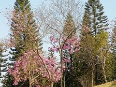-广州市白云山风景名胜区