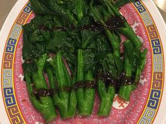 -大中鱼翅 Taitong Shark Fin