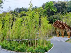 景点-阳台山森林公园