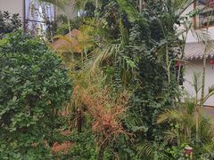 -忆江南·生态餐饮宴会酒店