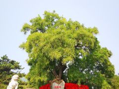 -八大处公园
