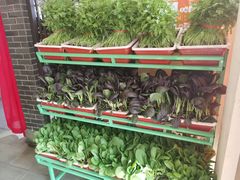 有机紫油菜-東城故事·尋找姆媽的味道(玉兰路店)