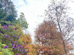 -云溪植物园