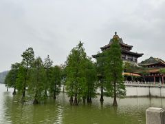 -顺峰山公园
