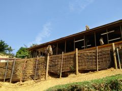 -岚山猴子公园