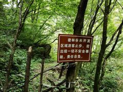 -少华山国家森林公园