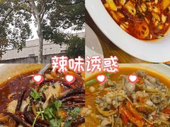 -九老汉·川渝江湖菜(合川路2店)
