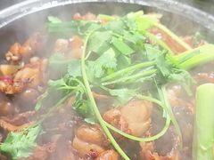 -友黔蛙(吉大店)