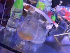 -Club Queen皇后酒吧