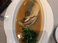 -沈灶河豚宴·河豚融合餐厅(汉中路店)