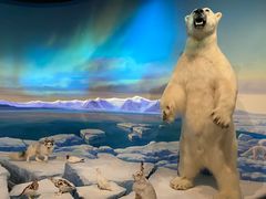 -陕西自然博物馆