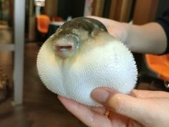 -肆月河豚·淮扬菜·湘菜(华天店)