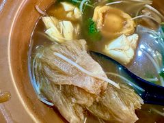 -大中鱼翅 Taitong Shark Fin
