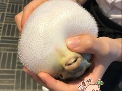 -天正河鲀·河豚亭(大连店)