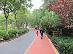 -大兴滨河森林公园