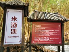 -森波拉火山温泉