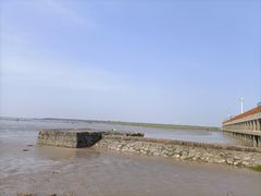 -奉贤海滩