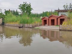 -东平国家森林公园