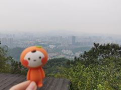 -岳麓山风景名胜区