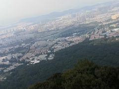 -紫金山山顶公园