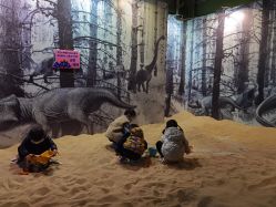 -恐龙探索乐园(磁器口店)