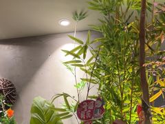 -施奈儿.洗头頭療.按摩SPA.采耳(上梅林店)