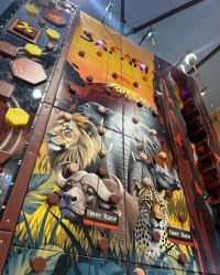 -卡通尼·Safari非洲探索乐园·生日会(金桥国际商业广场店)