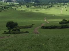 -塞罕坝国家级自然保护区