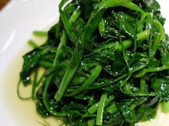 清炒豌豆尖-椿1978江湖菜