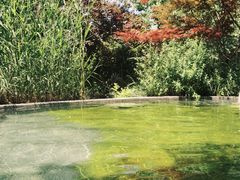 -麦积山温泉