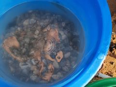 -秦皇岛秦皇国际大酒店