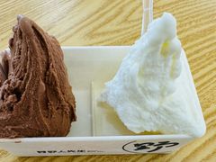 -野人先生Gelato(上海长宁龙之梦店)