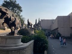 -自贡恐龙博物馆