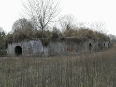 -桤木河湿地公园