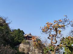 -鹫峰国家森林公园