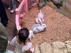 -正佳雨林生态植物园