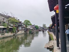 -西塘人家•黑金冠本地好店