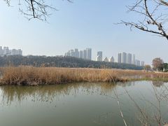 -月湖风景区