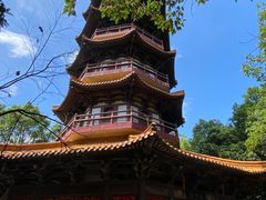 -天下玉苑