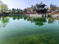 -迎泽公园