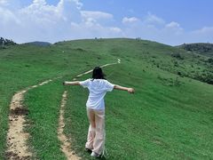 -大姆山草场
