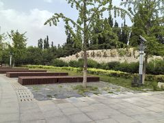 -永定河休闲森林公园