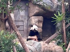 -香港海洋公园