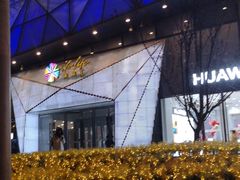 -远洋未来汇