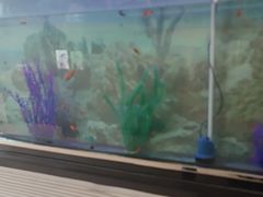 -德全心悦酒店(北京金台路地铁站店)