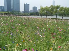 -白塘生态植物园
