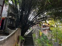 -磁器口古镇