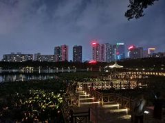 -南宁南湖公园