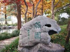 -上海龙之梦万丽酒店